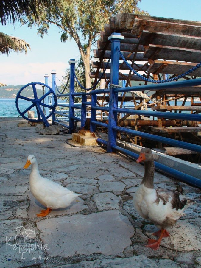 Ducks at the waterwheel, Karavomylos Lake