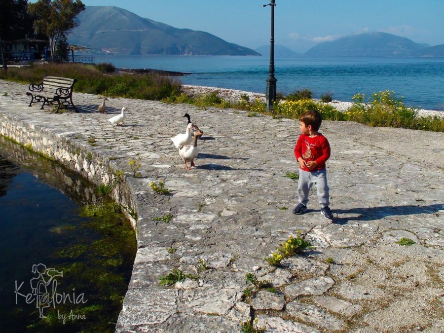 Feeding the ducks at Karavomylos Lake