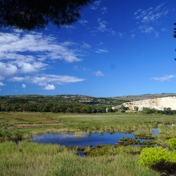 Livadi Marshes, at Paliki Peninsula