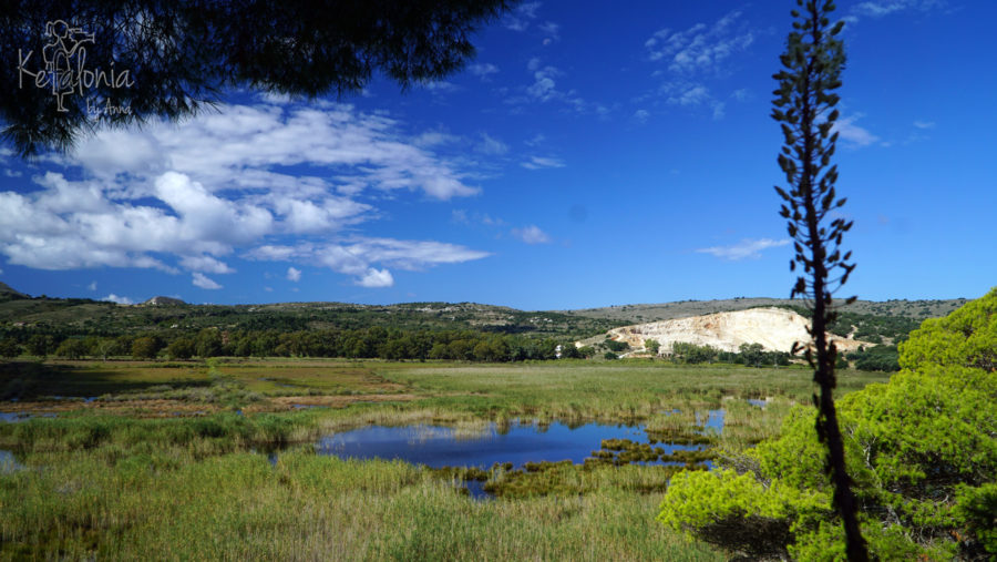 Livadi Marshes, at Paliki Peninsula