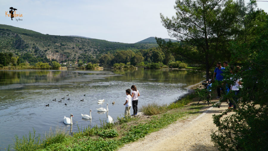 Koutavos Lagoon