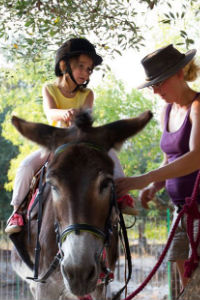 Donkey Trekking