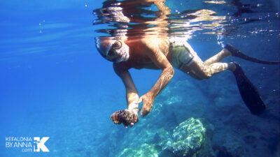 snorkeling