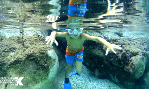 little diver