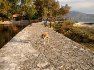 Ted on the path